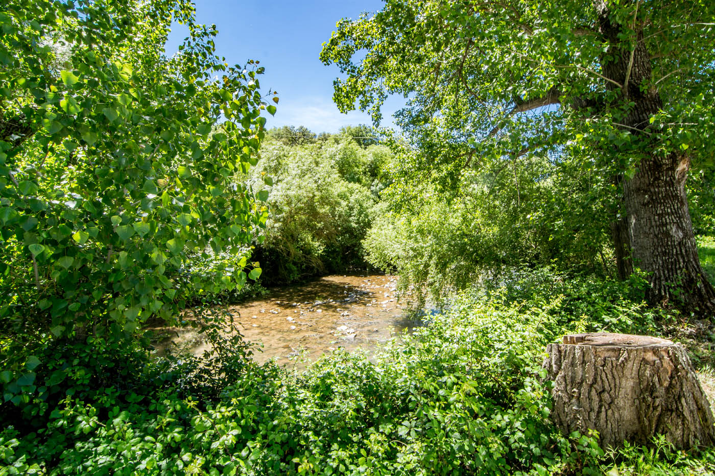 El río Guadiaro está a un corto paseo