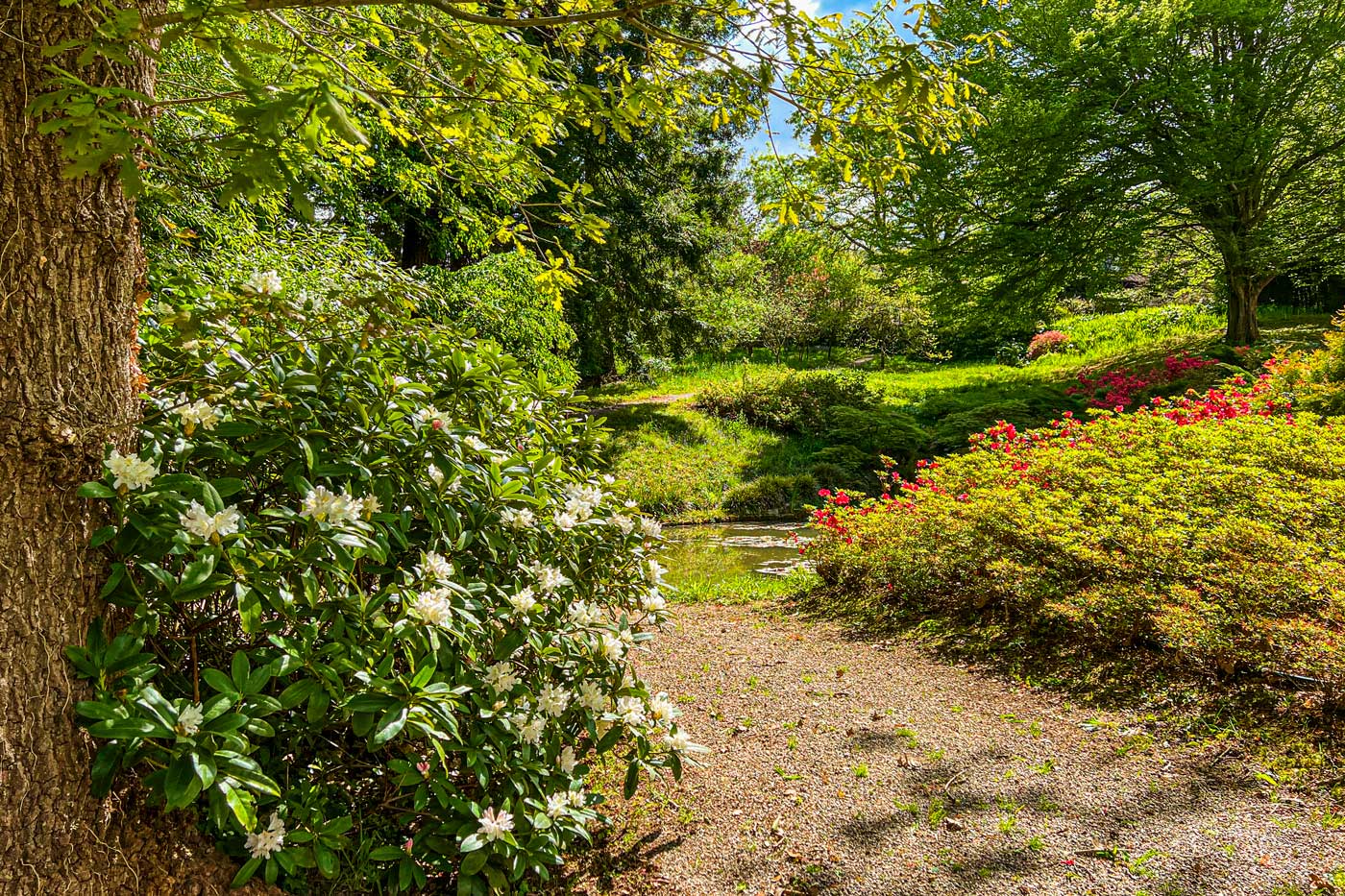 Track access to your holiday home