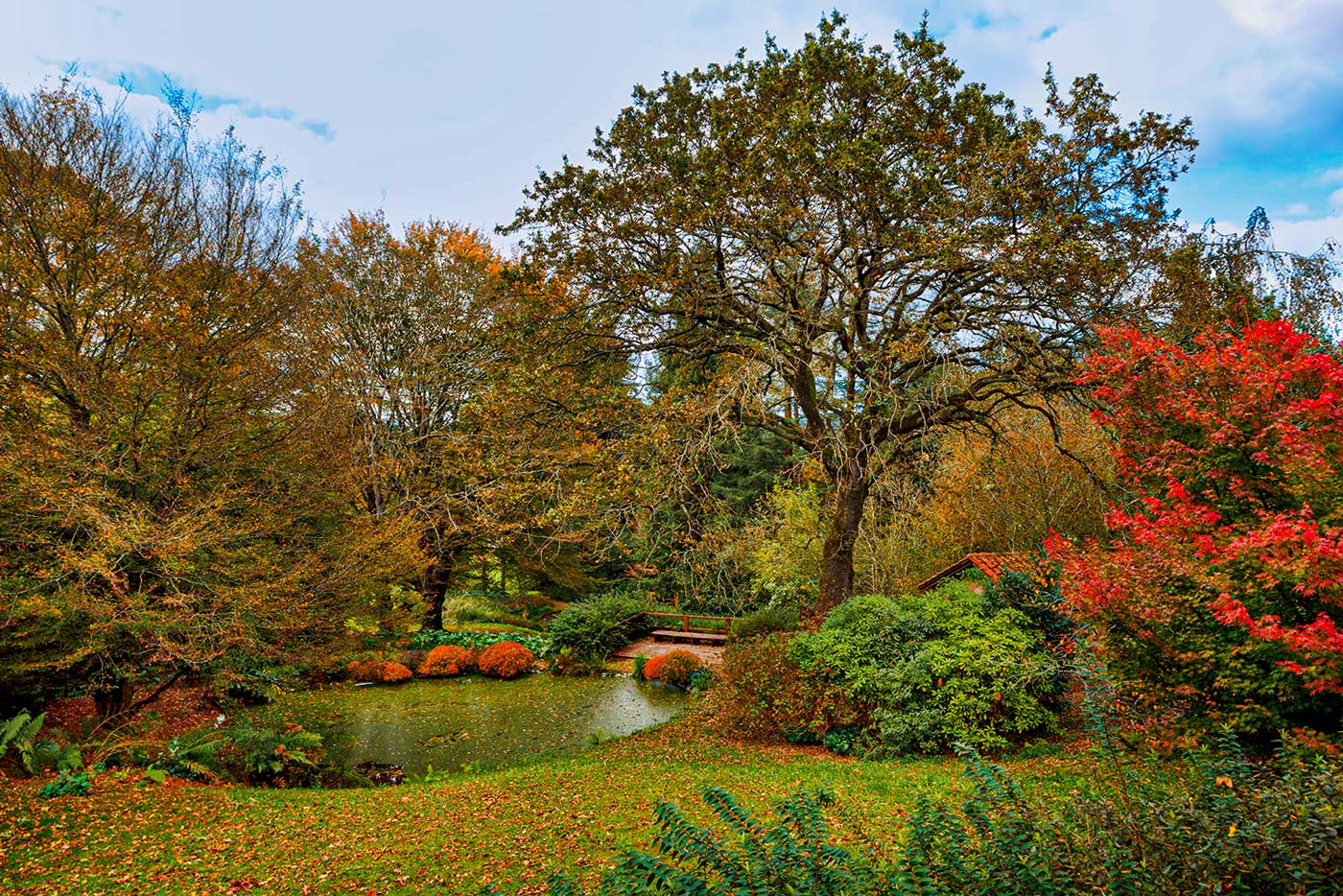 Pond with wooden platform/terrace