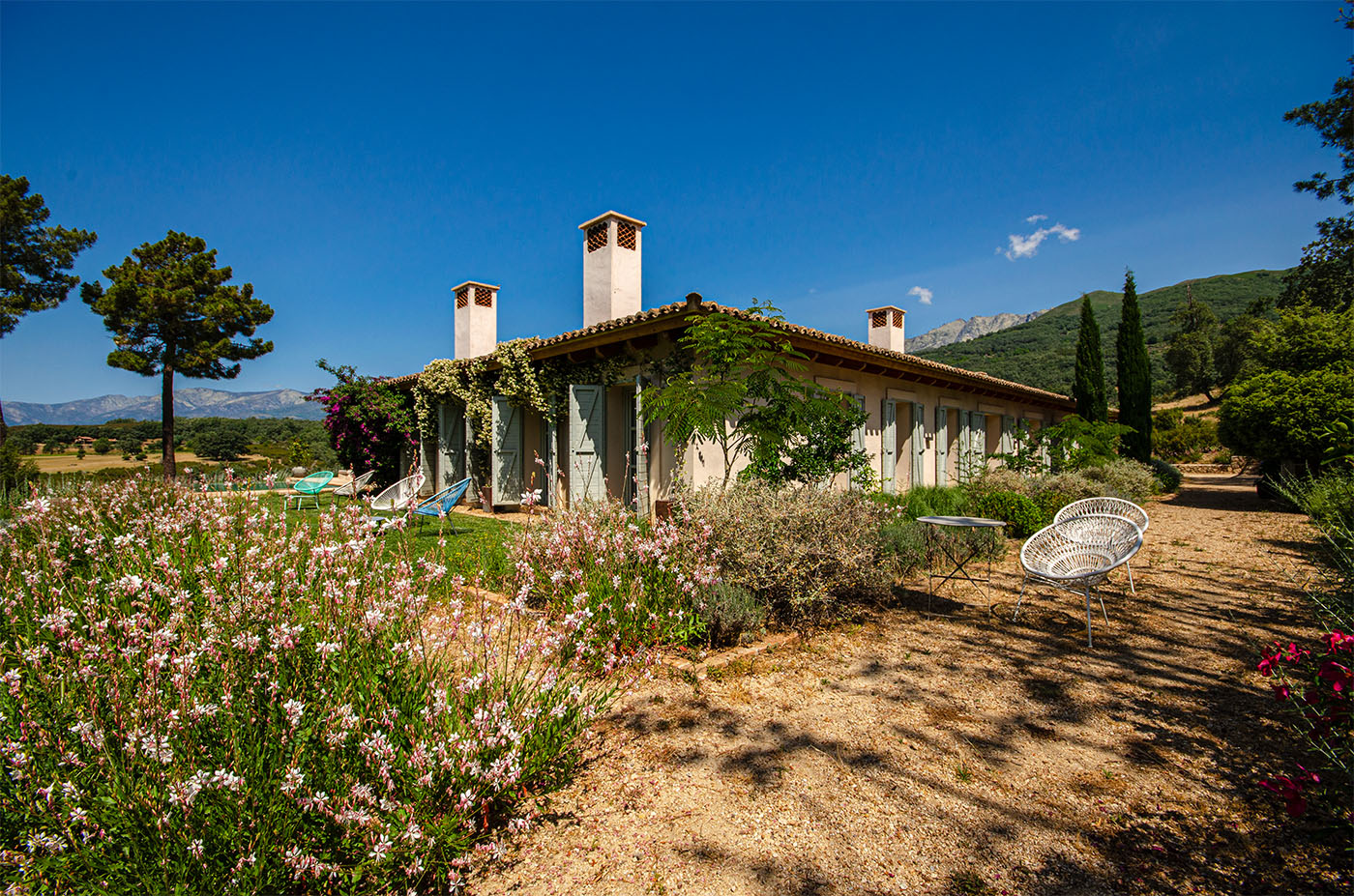 Amplios jardines traseros