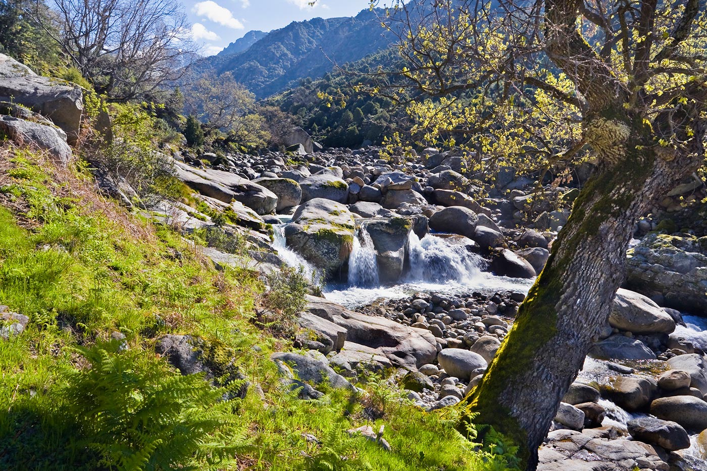 Your location: Gredos mountains