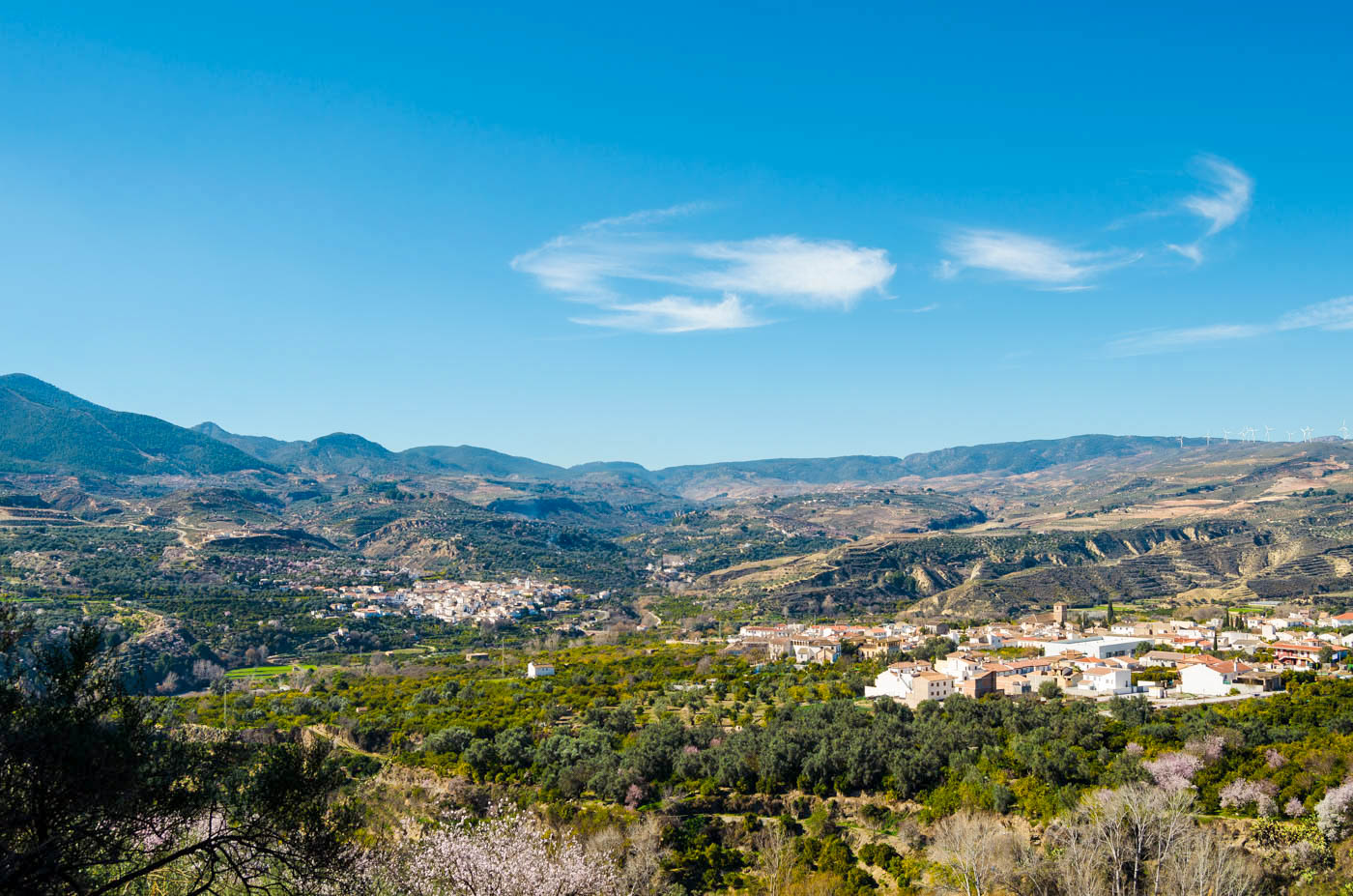 Y este es tu valle, el de Lecrín