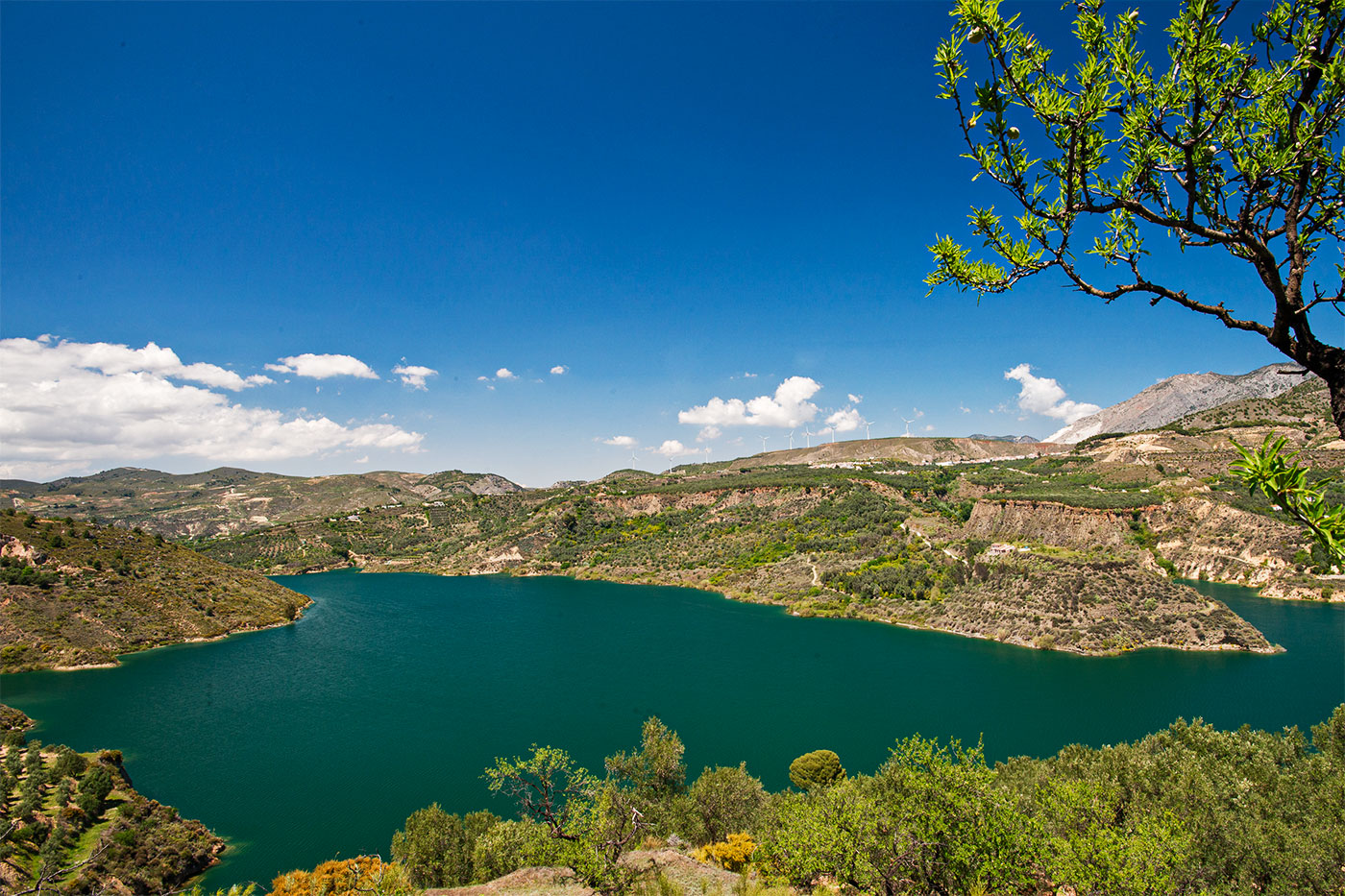 Tu pueblo es justo encima del pantano de Beznar