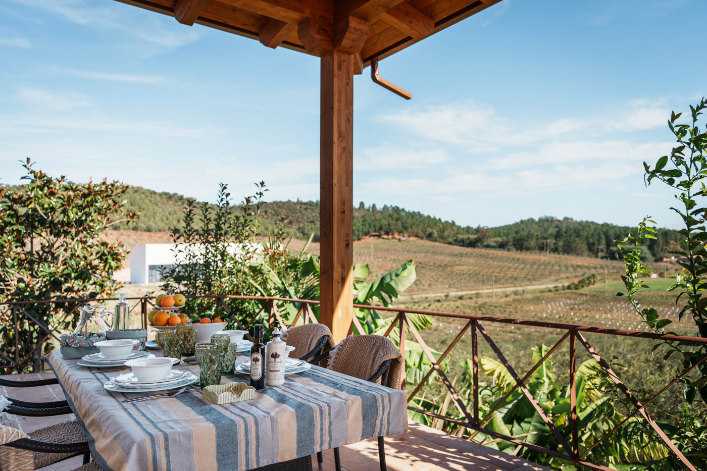 You are in a private finca that produces the finest extra virgin olive oil