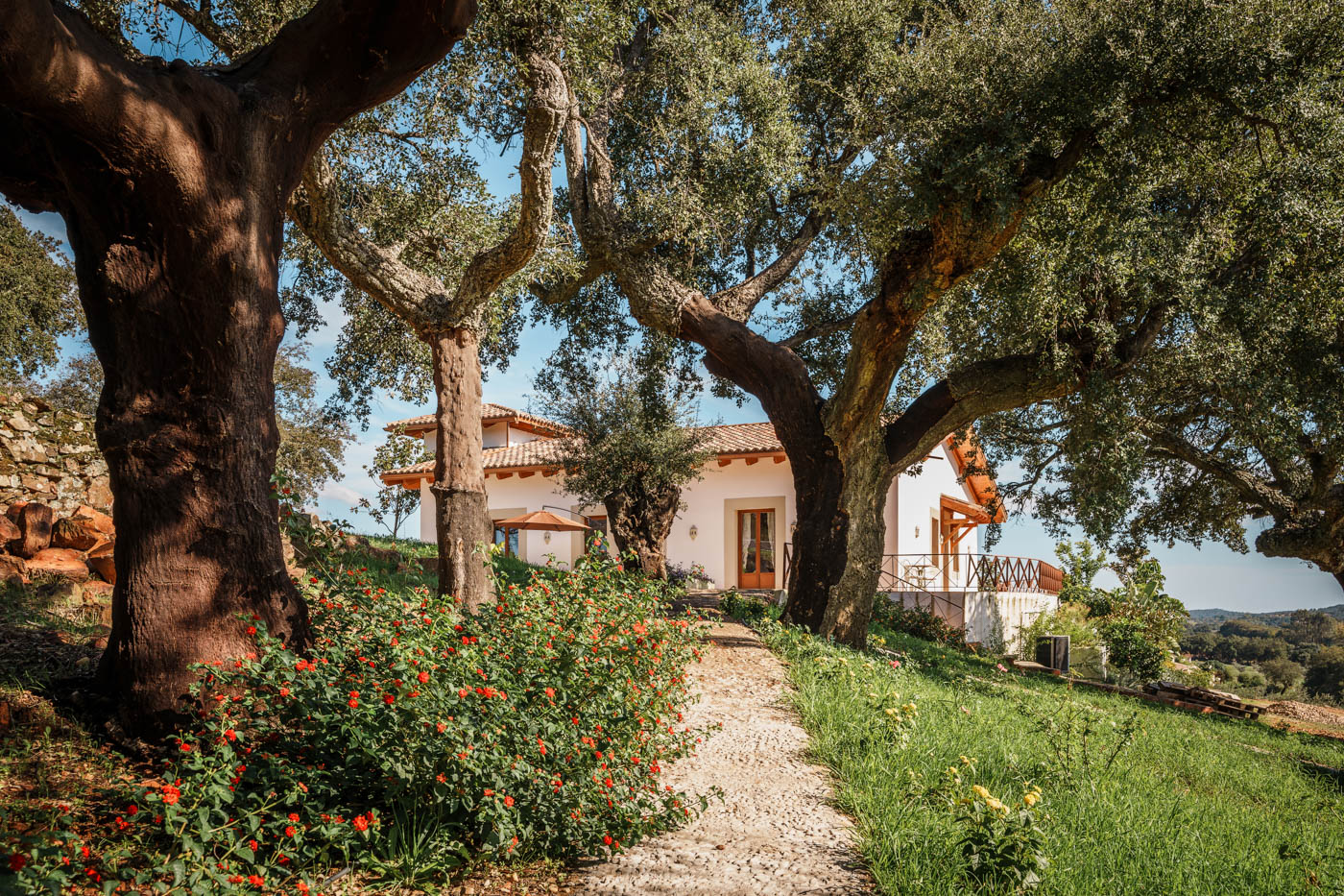 The house seen from path to pool area