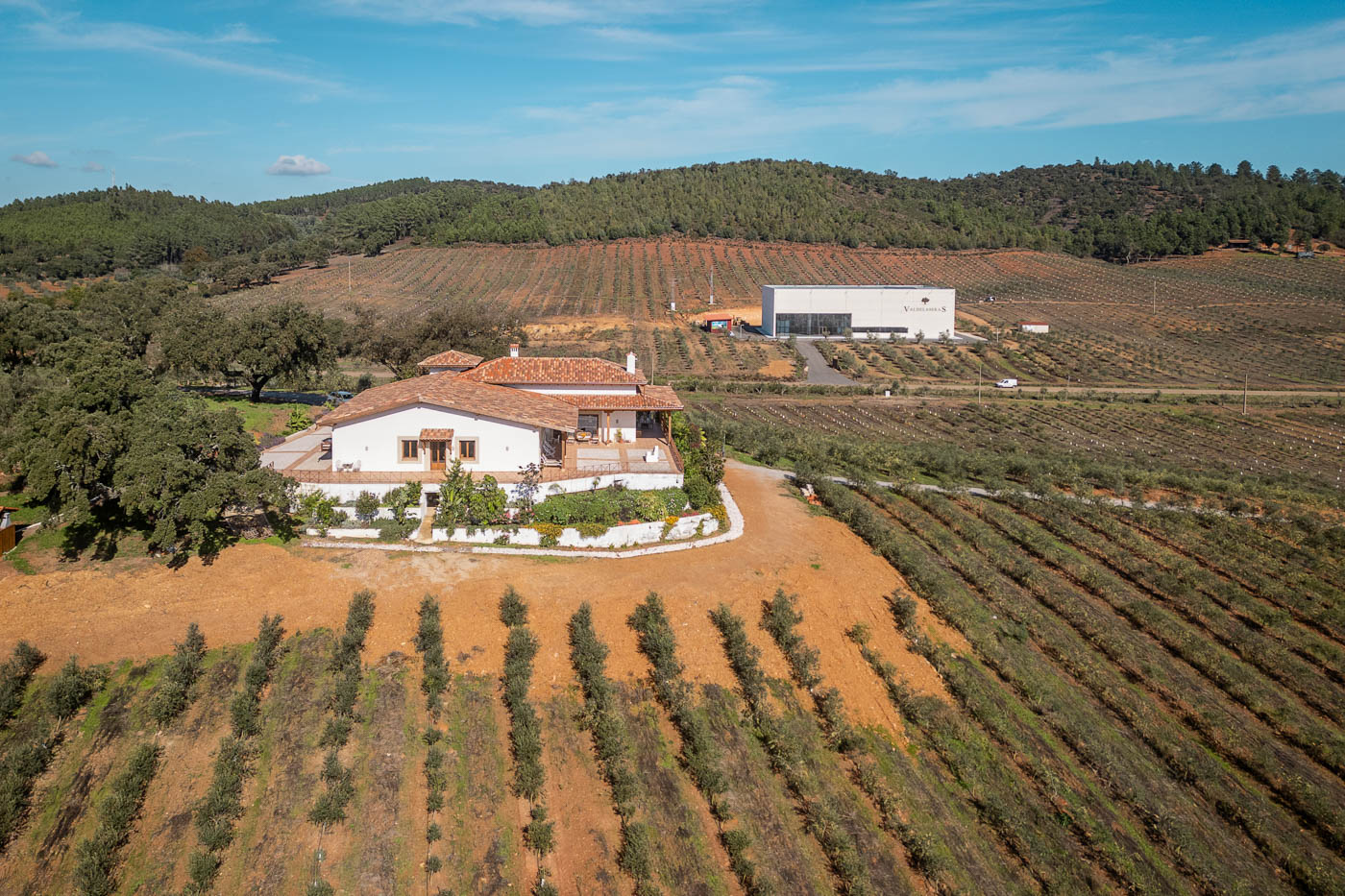 Your villa and the modern oilve mill behind