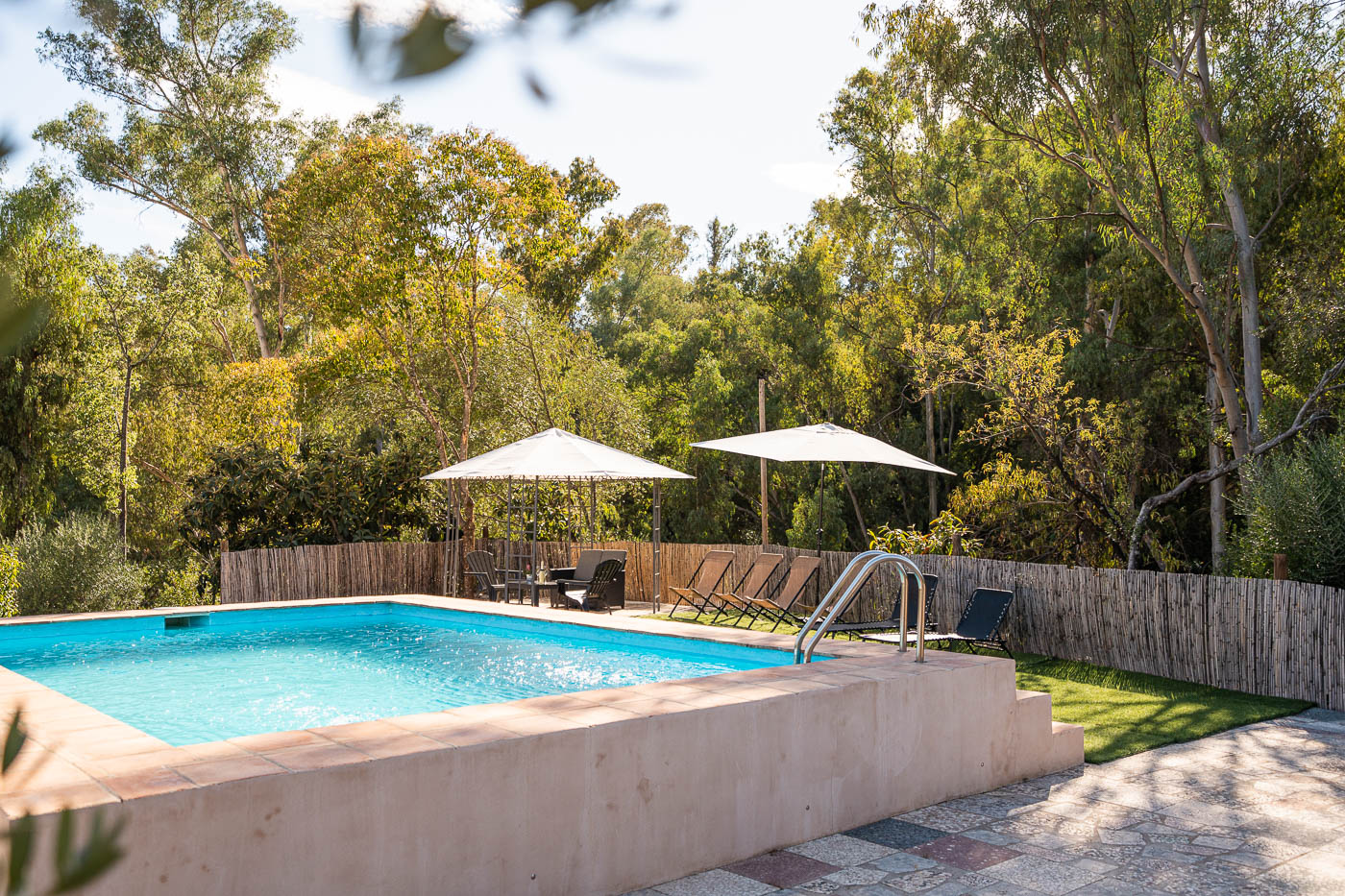 Zona de piscina rodeada de árboles