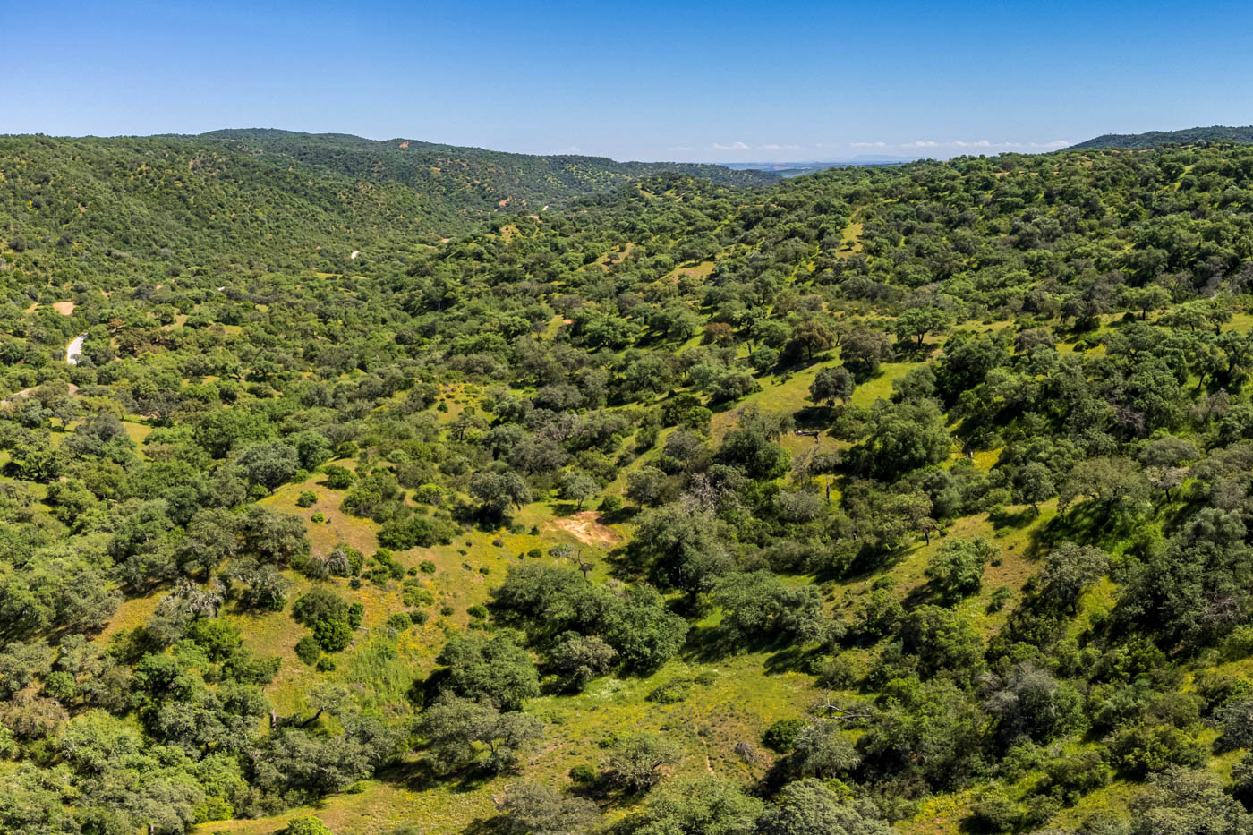 Tu enclave: Parque Natural Sierra de Hornachuelos