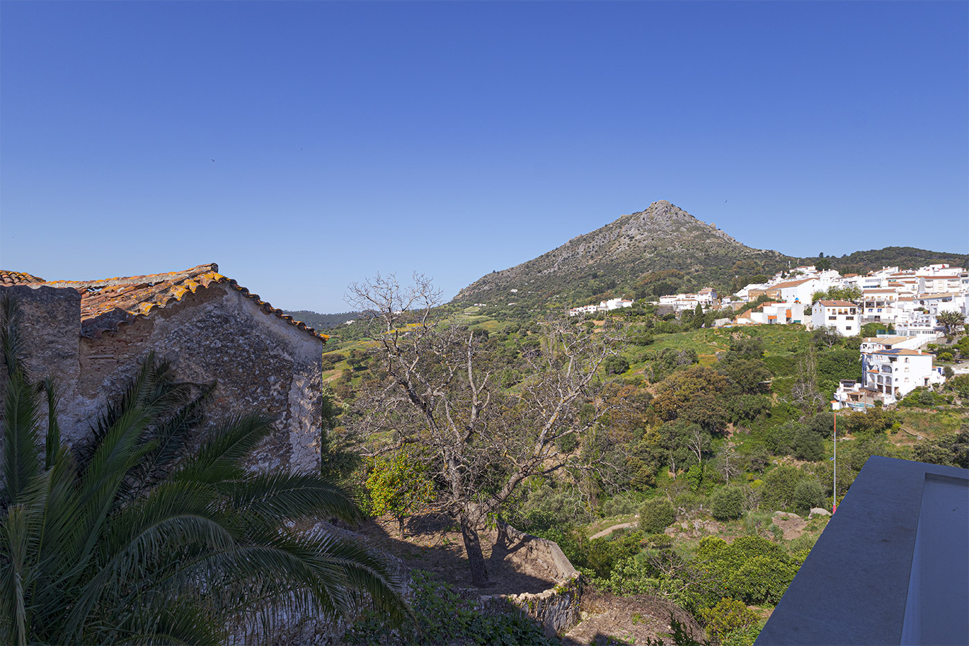 Vistas desde la terraza nivel medio