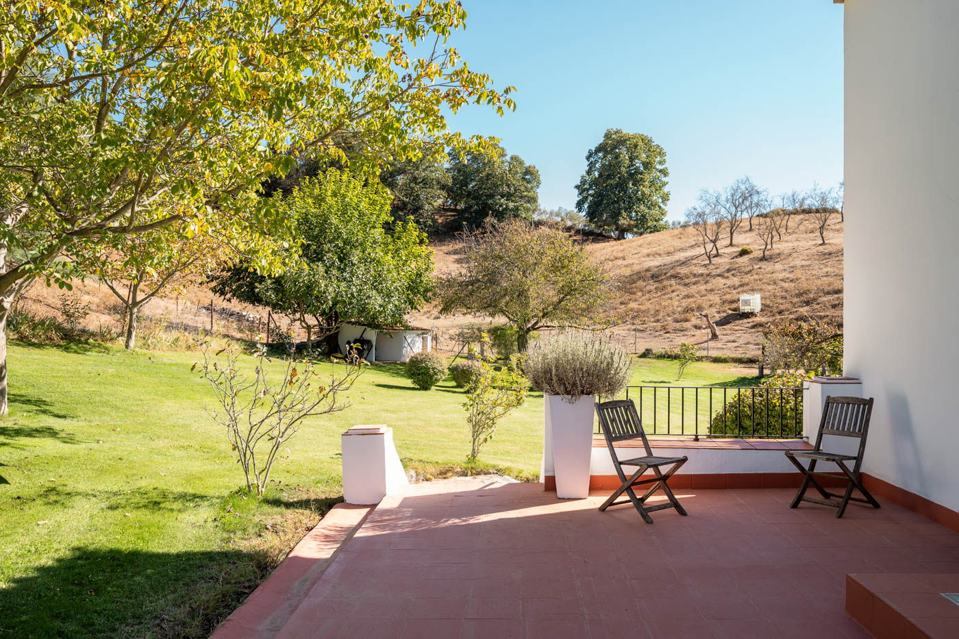 Patio and gardens by the annexe