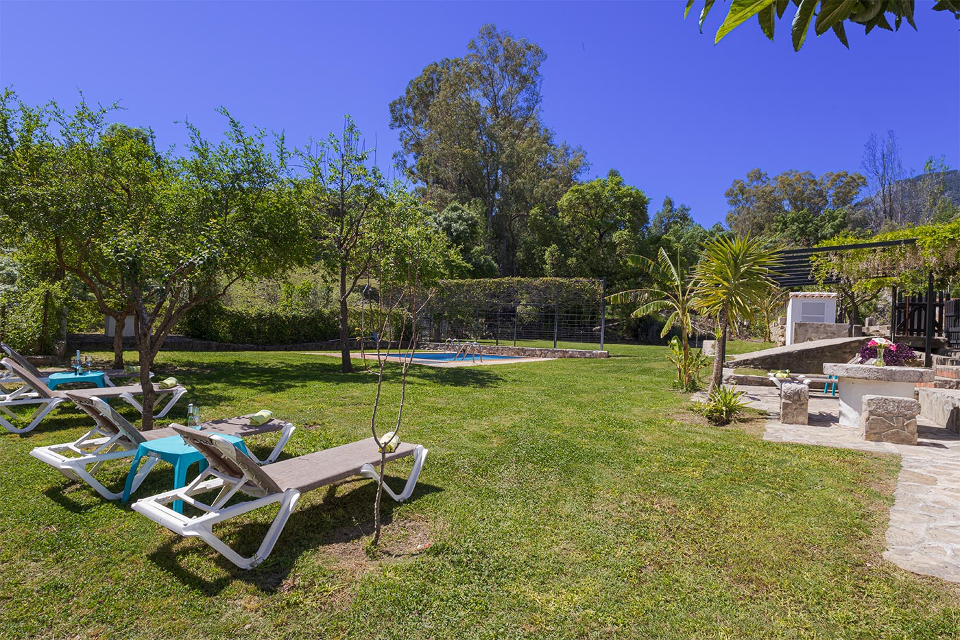 Large lawned gardens around the pool