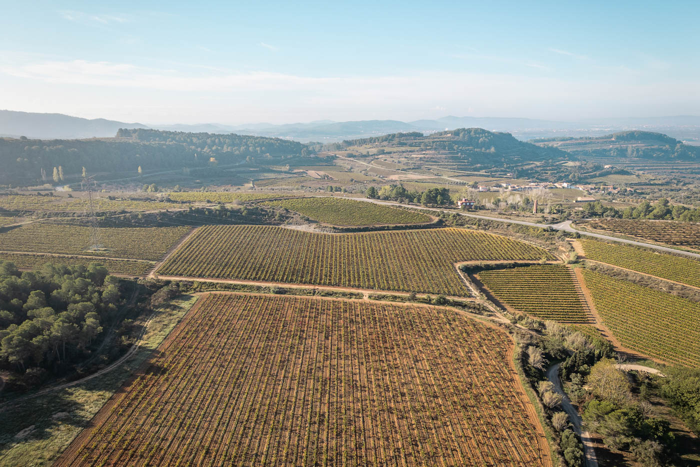 La zona produce vinos y champán
