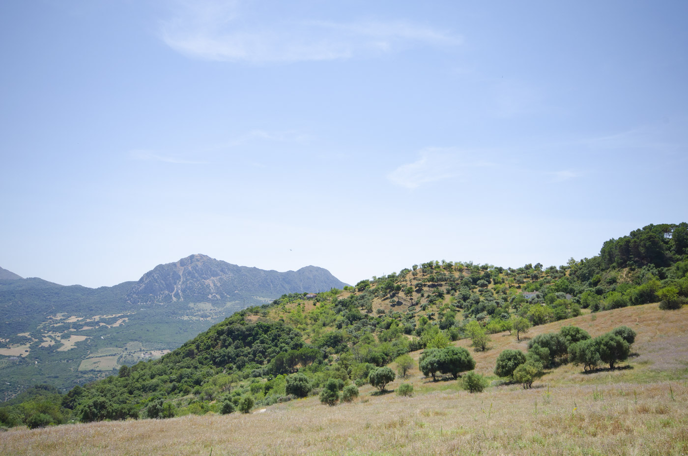 Tu ubicación en la distancia con Sierra Crestellina de fondo