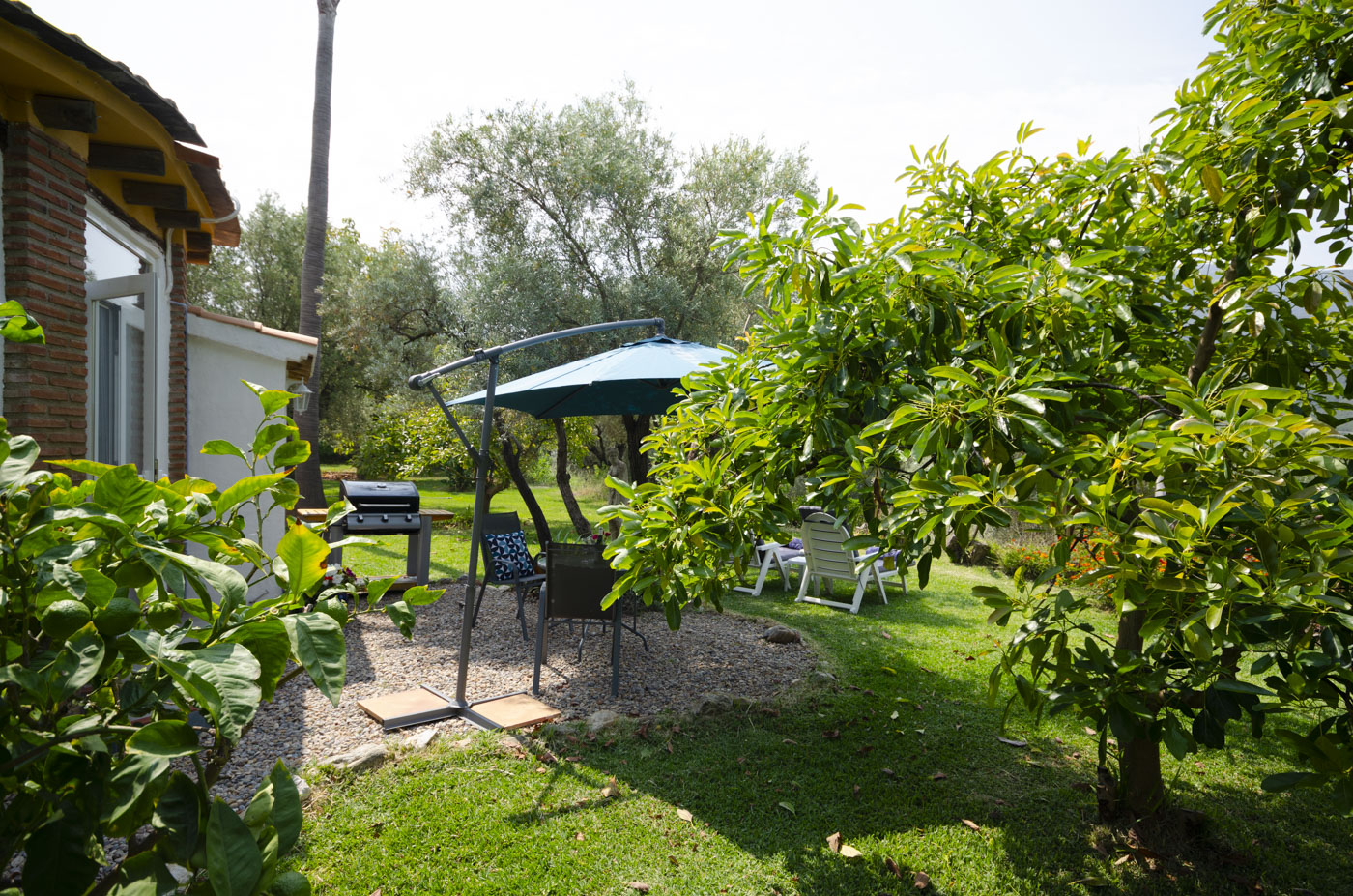 Zona de barbacoa / terraza con parasol