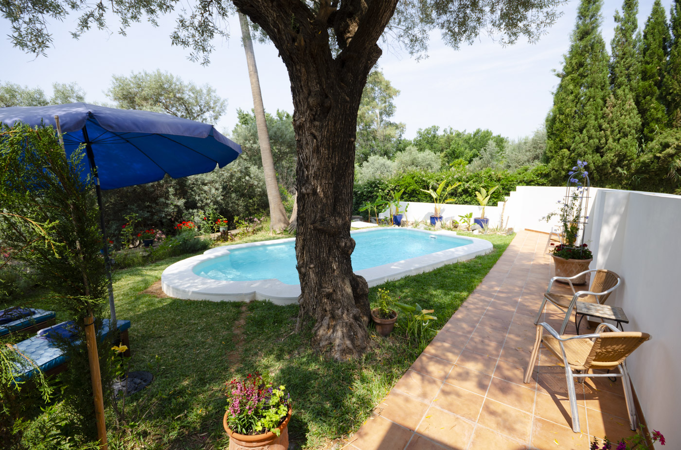 Tumbonas y zonas para sentarse