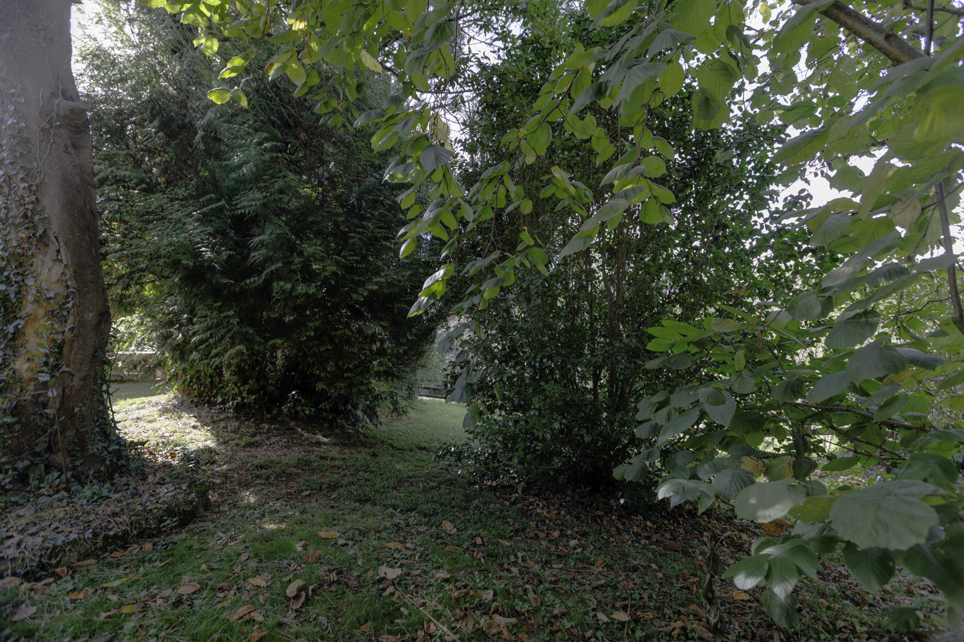 Your private gardens in autumn