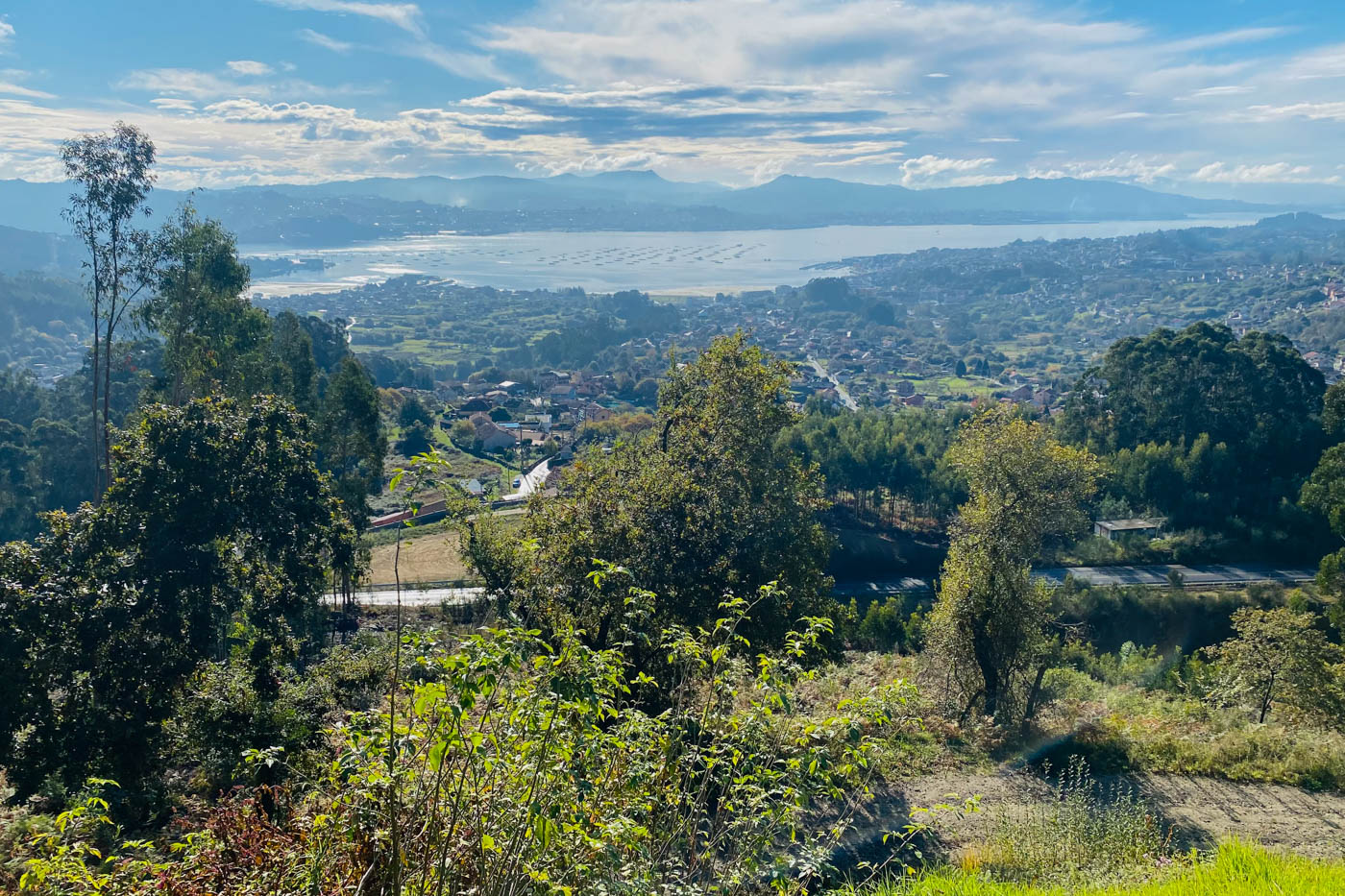 The area seen from a nearby viewpoint 