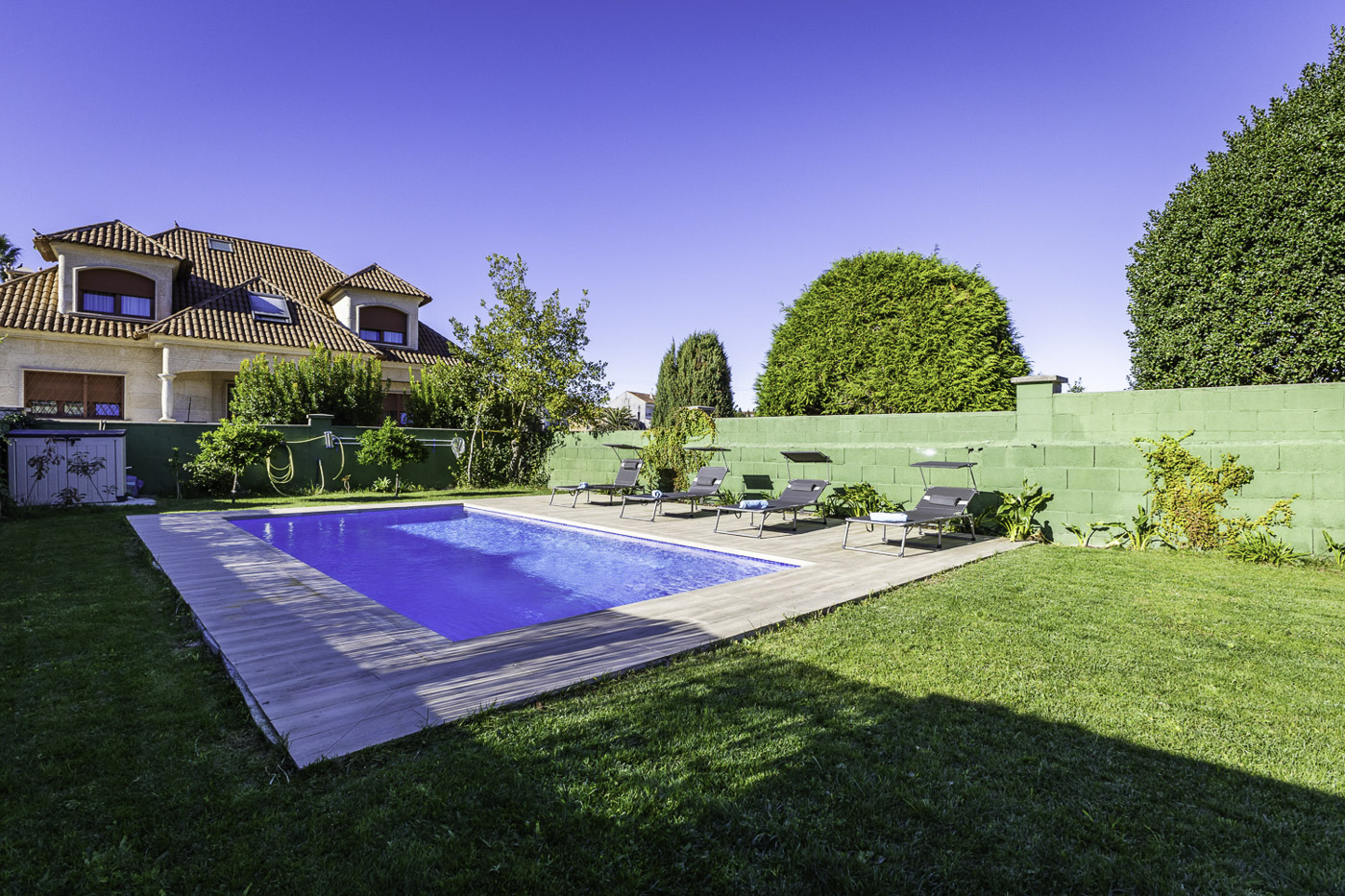 Los arboles de rápido crecimiento darán más privacidad