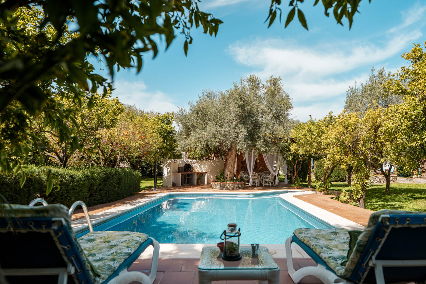 Piscina de buen tamaño con impresionantes jardines