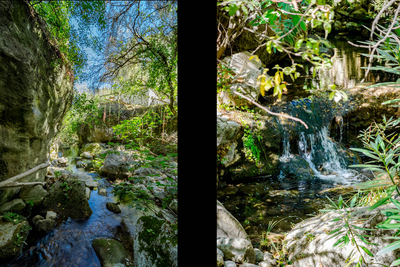 Los niños adoran este lugar