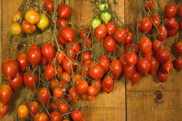 Producción orgánica