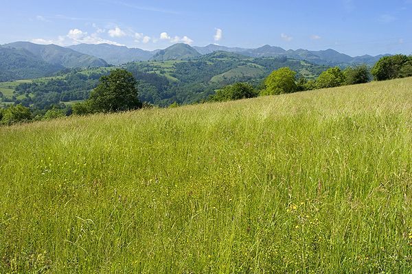 This is a local area, the Cider Country by Picos de Europa