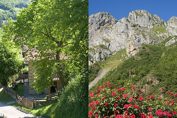 The cottage and its setting