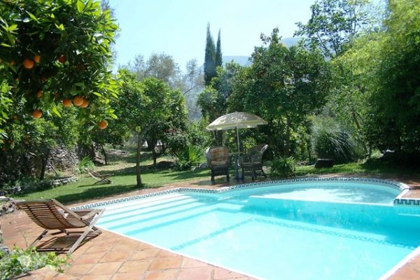 Pool with Roman steps