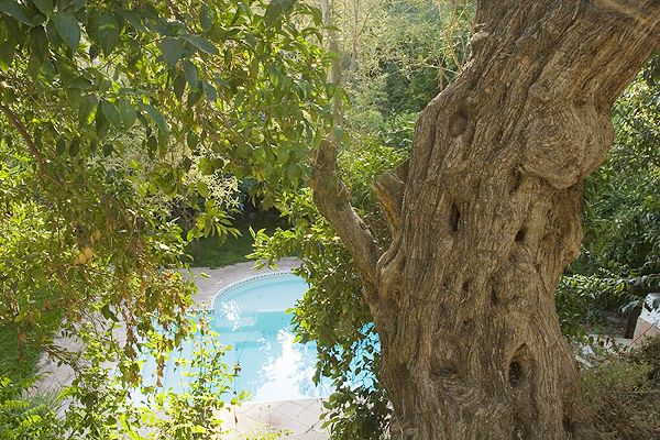 Villa gardens enjoy good privacy