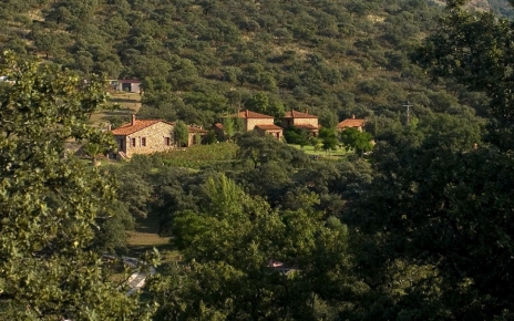 Estate overview