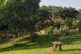 Shared gardens