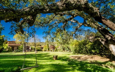 Amplias zonas comunes