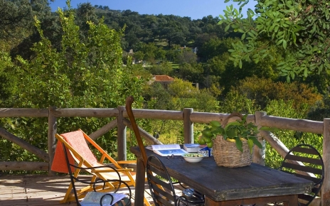 Vistas desde la terraza