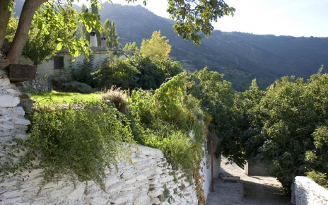 Los jardines vistos desde abajo