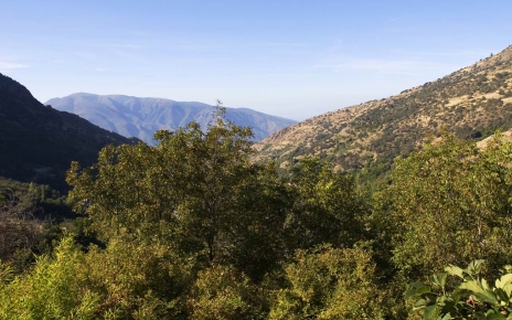 Tus vistas (foto de verano)