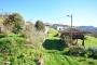 Cottage location on edge of village