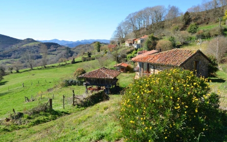 Your holiday cottage is accessed via a short track