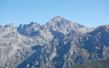 Close up photos of Picos in Summer