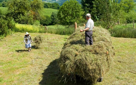 Gardeners preparing property gardens before season starts