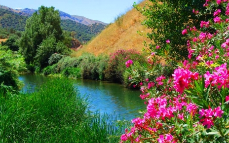 Rio Guadiaro: Ronda mountains