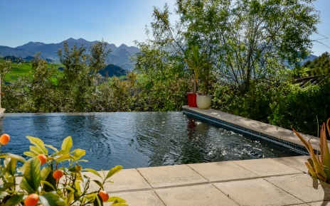 Infinity pool surrounded by nature 