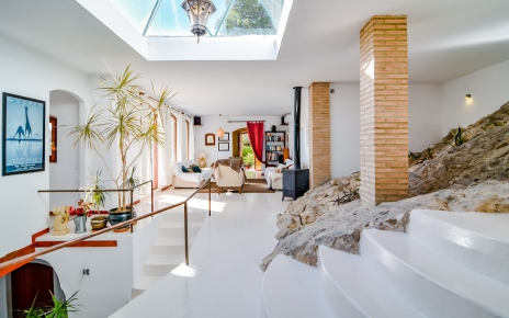 Skylight, bedrock and natural plants