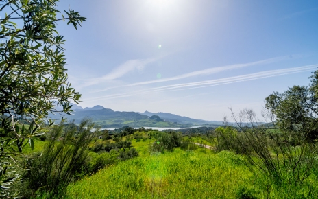 Inicio de la primavera
