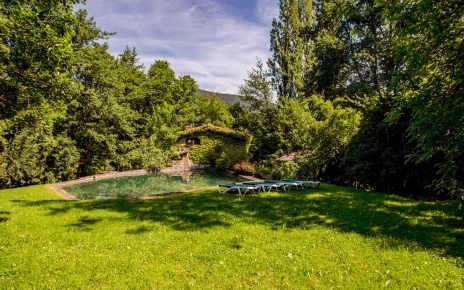 Entorno boscoso salvaje