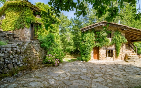 Los niños tienen mucho espacio para jugar