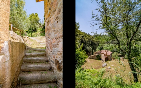 Dé un paseo por la finca