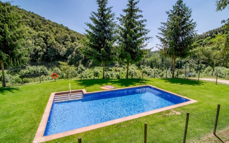 Jardines con césped en la piscina