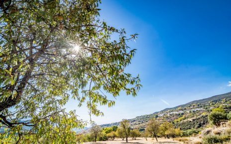 Tu ubicación en la bonita región de las Alpujarras
