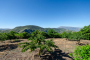 Ample private grounds with excellent fruit trees