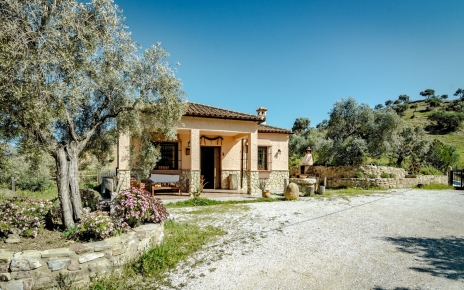 Arriving at your holiday property driving over olive groves